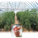 참살이농장 이미지