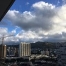 깜미슈퍼 | 하와이4