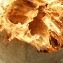 피트(Feat) 이미지