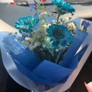 영남이공대학앞 | 내돈내산 남구 대명동 영대병원 근처 꽃집 쉼표플라워 후기