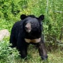 신당농장 이미지