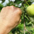 청산한옥계곡펜션 이미지