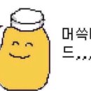 신야텐야합정교보문고점