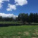 은지목장 이미지