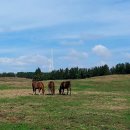 연원목장 이미지