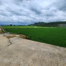 동읍스카이공인중개사사무소 이미지