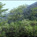 부곡2리 이미지