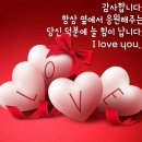 지혜유통