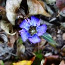 용담초교 이미지