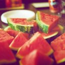 보물단지 이미지