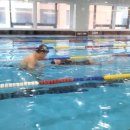 하비엘럭스 수영장 이미지