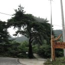 솔밭펜션 이미지