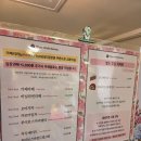 [로즈스텔라정원 카페] 인천 다남동 계양역 카페추천 | 로즈스텔라정원 장미&amp;수국축제 후기