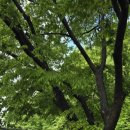 효림재가노인지원센터 이미지