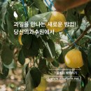 당신의과수원