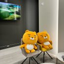 수원 광교스크린골프 가격 시설최고 프렌즈스크린매탄점