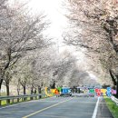 구례의길(섬진강길) 이미지