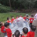 동화나라숲 어린이집 이미지