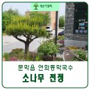 연화동막국수 이미지