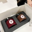 오델리스 이미지