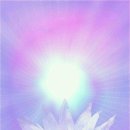 무아지경 이미지