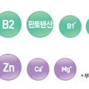 명지스타시티약국 이미지