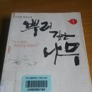[도서/책] 뿌리깊은 나무 리뷰 및 후기