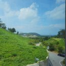 상하푸른목장 Daum카페