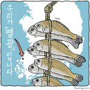 영광(아) 이미지