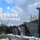 정읍 국립공원숙소 4인가족 6만원대 내장산생태탐방원 내장호트레킹 근처맛집