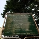 참배나무골여의도점 이미지