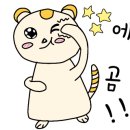 세온느헤어 이미지