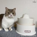 (주)정수사료 | 고양이 정수기 추천! 고양이 건강 지키는 필수템이에요~
