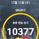 앞마당오락실 이미지