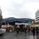 자갈치시장 이미지