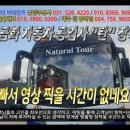 금화자동차공업사 - 파주시 새뜰길 6 | 금화자동차공업사