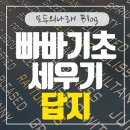 빠바라기 이미지