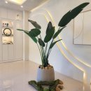 강릉햇살주유소 이미지