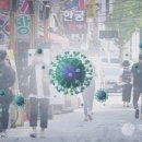 대전 6135 대전일보
