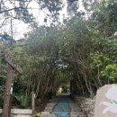 남서광마을입구 (남서광마을방면) | [타이베이 즉흥여행] MRT·케이블카 타고 떠난 고양이 마을 '마오콩' 근교 당일치기 추천