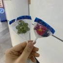 네일효월 | 일 하기 너무 싫은 요즘 쓰는 일기