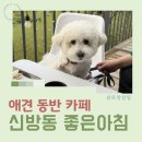 좋은아침 | 천안 애견동반카페, 좋은아침페스츄리 신방점 후기