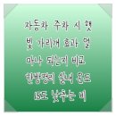 자동차 주차 시 햇빛 가리개 효과 얼마나 되는지 비교 한방정리 실내 온도 15도 낮추는 비결