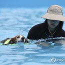 뚝섬한강공원-56 이미지