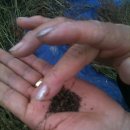 유영석농장 이미지