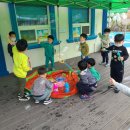 피노키오유아스쿨어린이집 이미지