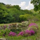 미륵산계곡꿈의궁전마을 이미지