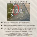 [해운대 베니어스파] 해운대 피부관리 추천 : 모공, 물광, 앰플샷