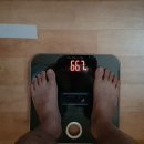 고릴라 휘트니스 이미지