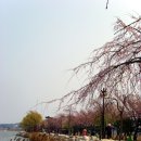 바다(家) Daum카페
